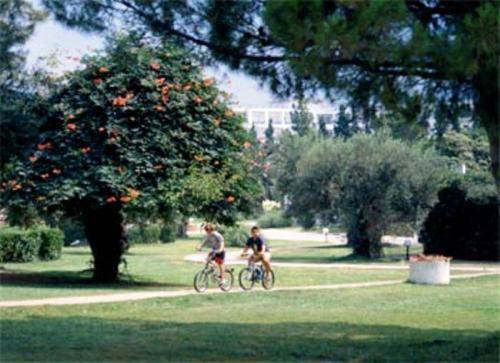 Gerakina Beach Hotel Chalkidiki Bagian luar foto